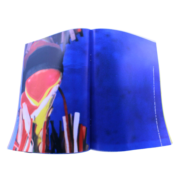 WWF Magazin Nr. 10 (1996) | Ultimate Warrior Poster | Goldust & Mankind | Ehapa